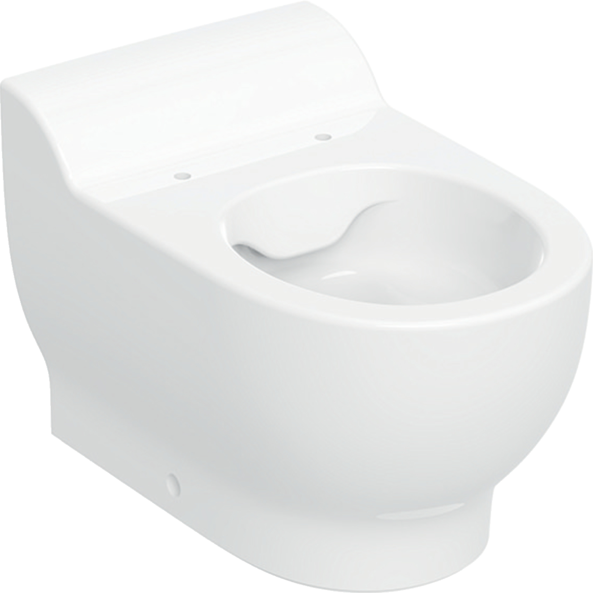 Geberit Bambini Stojąca miska WC dla dzieci , lejowa, Rimfree, do deski sedesowej, T=53cm, biały 502.966.00.1